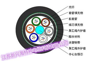 室外地埋普通鎧裝光纜GYTY53 特種電纜的性價比之選